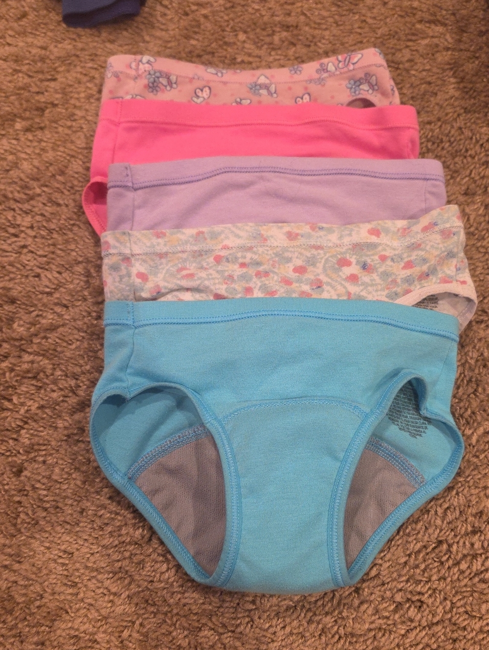 Hanes Toddler Training Underwear Pack - Blue, Pink & Purple